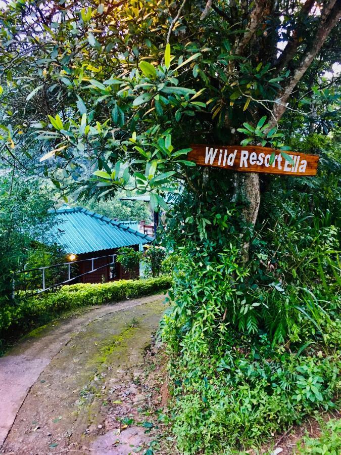 Wild Resort إيلا المظهر الخارجي الصورة