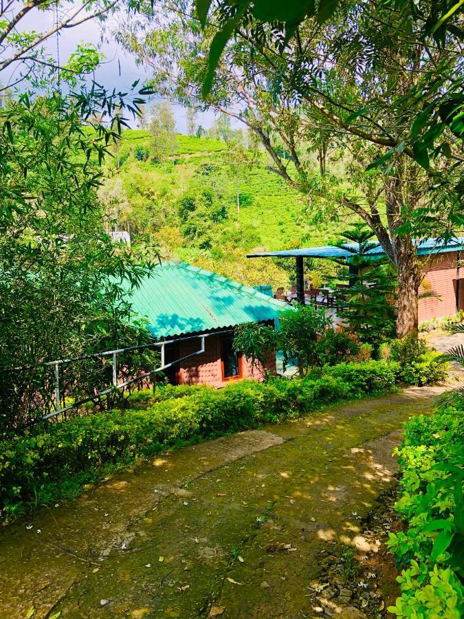 Wild Resort إيلا المظهر الخارجي الصورة
